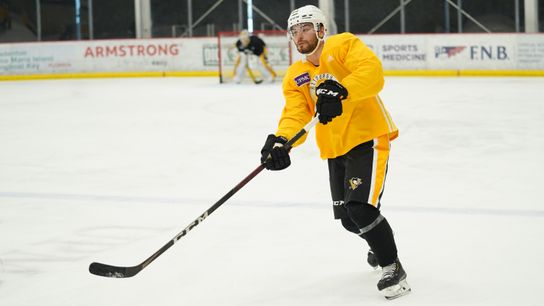 Taxi squad roster shaken up, Friedman put on IR taken at PPG Paints Arena (Penguins)